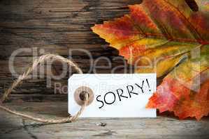 Autumn Background With Label Sorry