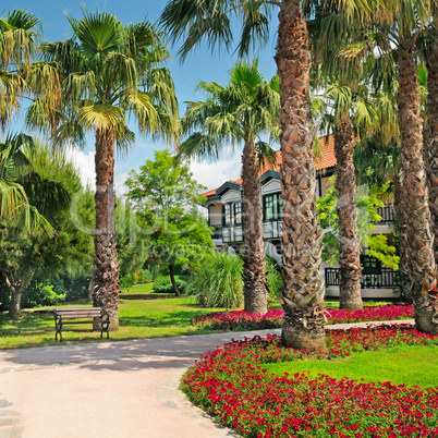 landscape with palm trees and flower beds