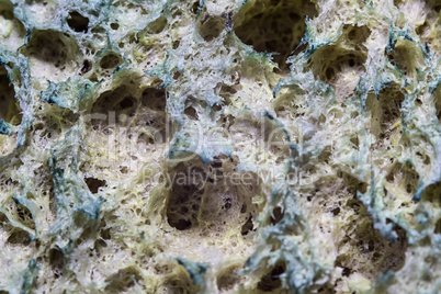 Photo of sponge for dishwashing