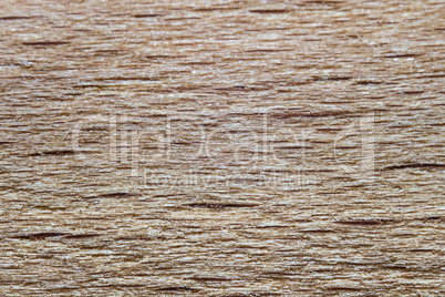Photo of the beige wood texture