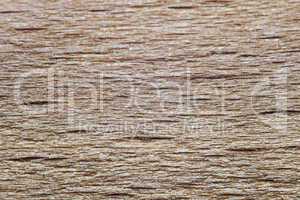 Photo of the beige wood texture
