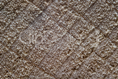 Photo of section wood texture