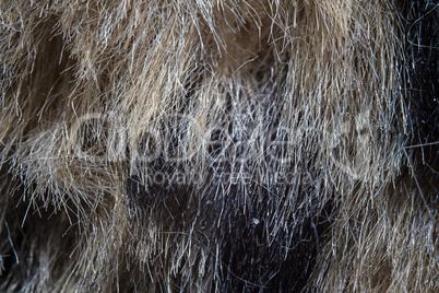 Photo of the fake fur