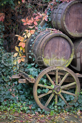 alter Holzwagen mit Weinfässer