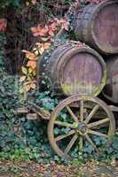 alter Holzwagen mit Weinfässer