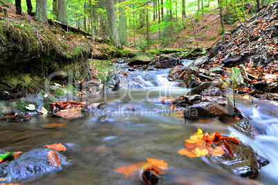 Bach Herbst Wasser Blätter