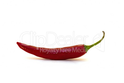 Chili pepper