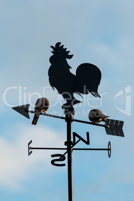 Wind cock