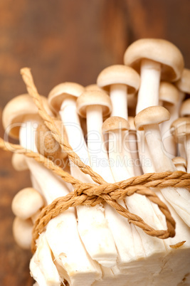 fresh wild mushrooms