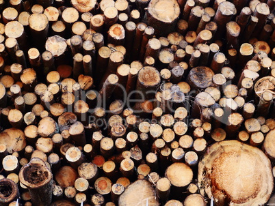 wood logs background