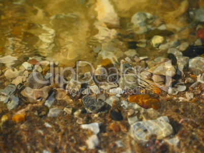 Texture of stones under water