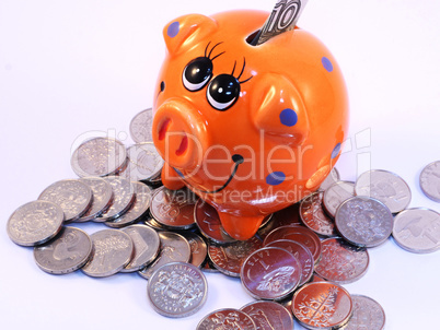 Bunch of coins and piggy bank