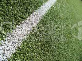 Soccer field grass on the green