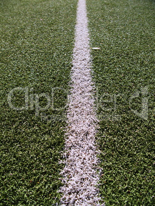 Soccer field grass on the green