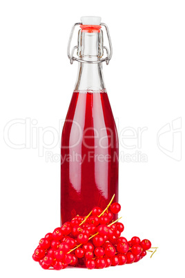 Fresh currants and a bottle syrup