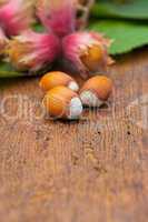 Hazelnuts on wooden board