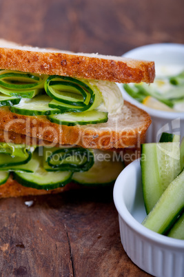 fresh vegetarian sandwich with garlic cheese dip salad