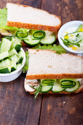 fresh vegetarian sandwich with garlic cheese dip salad