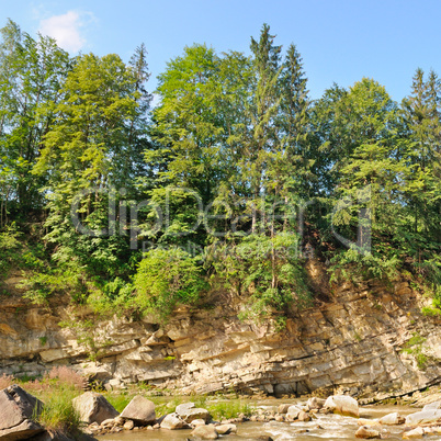 Steep bank of the river