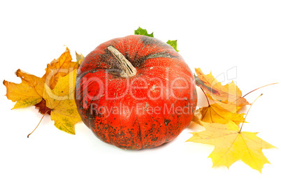 Red ripe pumpkin and autumn yellowed leaves