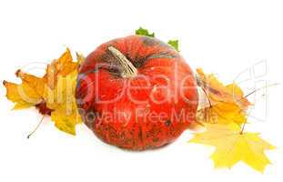 Red ripe pumpkin and autumn yellowed leaves