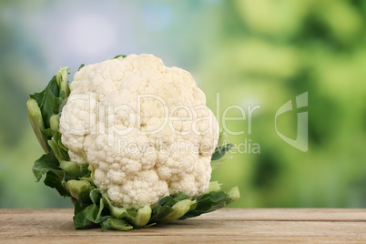 Blumenkohl im Sommer mit Textfreiraum