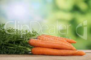 Karotten oder Möhren im Sommer mit Textfreiraum