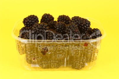 Fresh blackberries in plastic container