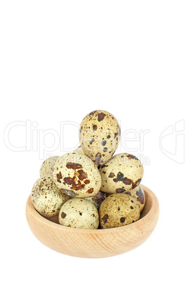 Eggs of japanese quail