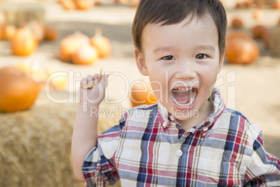 Mixed Race Young Boy Having Fun at the Pumpkin Patch