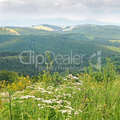 scenic mountains  against the blue sky