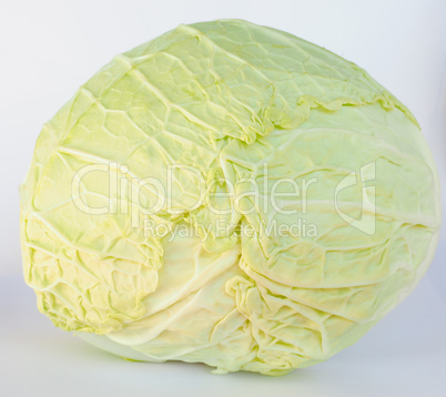 Cabbage