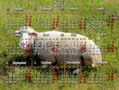 calendar for 2015 year with sheep on the background