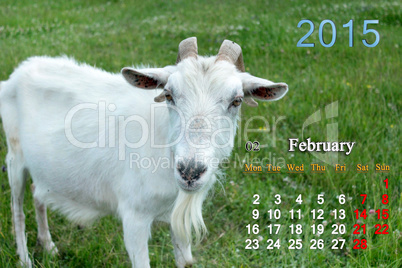 calendar for February of 2015 year with goat