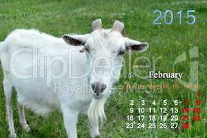 calendar for February of 2015 year with goat