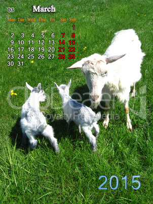 calendar for March of 2015 year with goat and kids