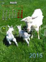 calendar for March of 2015 year with goat and kids