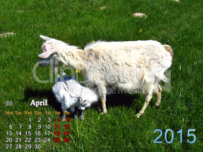 calendar for April of 2015 year with goat and kids