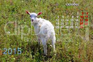 calendar for October of 2015 year with little goat