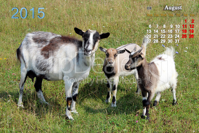 calendar for August of 2015 year with goat and kids