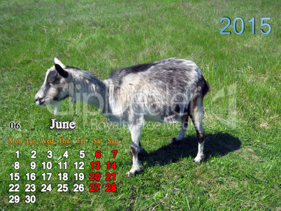 calendar for June of 2015 year with goat