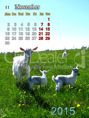calendar for November of 2015 year with goat and kids