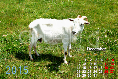 calendar for December of 2015 year with goat