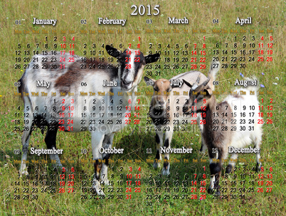 calendar for 2015 year with goat and two kids