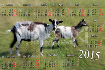 calendar for 2015 year with goat and kid