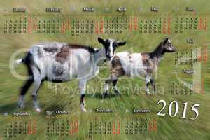 calendar for 2015 year with goat and kid
