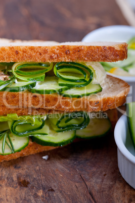 fresh vegetarian sandwich with garlic cheese dip salad