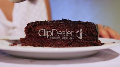 Delicious Sacher Torte