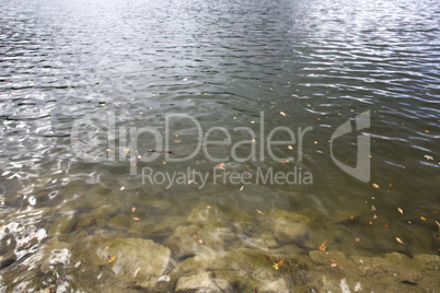 Bavarian lake Schliersee in autumn