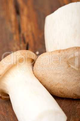 fresh wild mushrooms